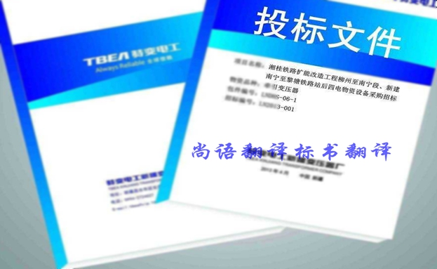 西班牙語(yǔ)投標(biāo)書翻譯價(jià)格要多少錢？收費(fèi)標(biāo)準(zhǔn)是什么？