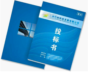 項目標書翻譯多少錢，標書翻譯公司報價